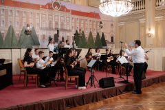 25-godina-tambure-foto-Milan-Djurdjevic_-101