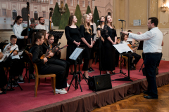 25-godina-tambure-foto-Milan-Djurdjevic_-155