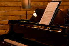 HumKo-29